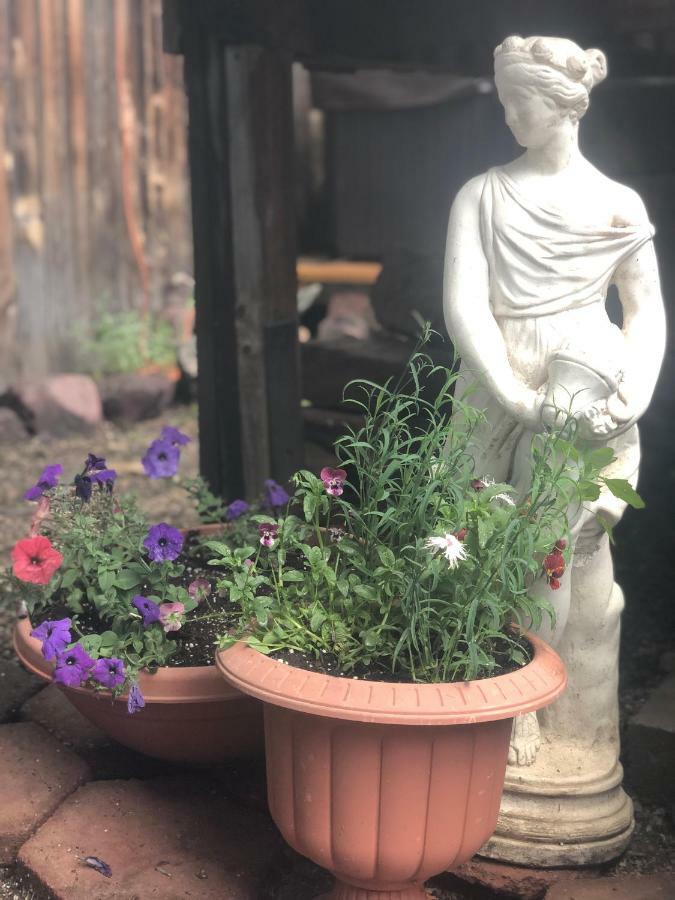 Villa Dallavalle Inn Silverton Εξωτερικό φωτογραφία