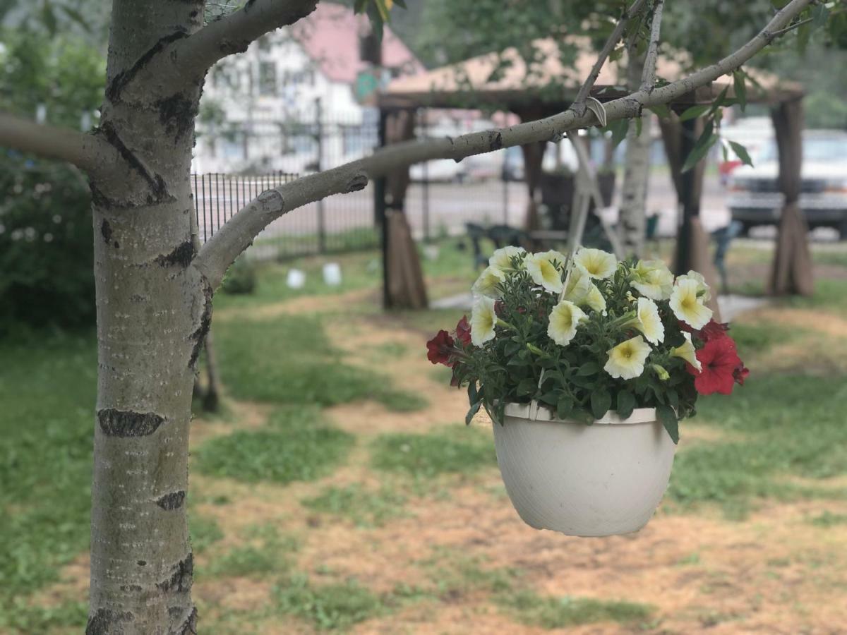 Villa Dallavalle Inn Silverton Εξωτερικό φωτογραφία